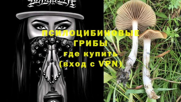 эйфоретик Красноперекопск