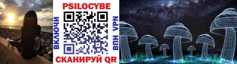 Псилоцибиновые грибы Psilocybe  Купить закладки  Находка 